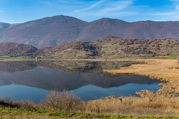 Δίκτυου Natura 2000 στις περιοχές «Βούρινου, Λίμνες Ζάζαρη και Χειμαδίτιδα, Λίμνες Πετρών και Βεγορίτιδα, Υγρότοπος Άγρα»