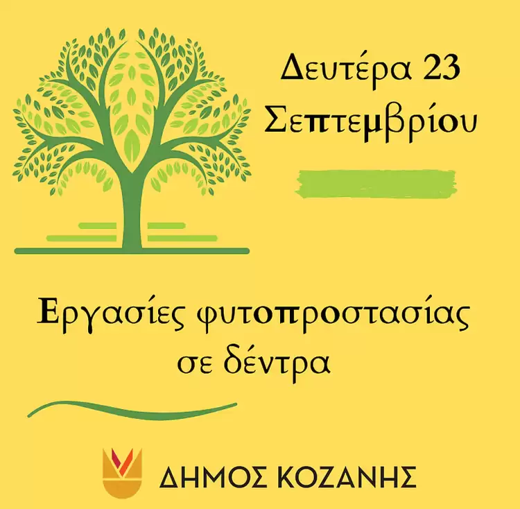 Δήμος Κοζάνης: Εργασίες φυτοπροστασίας σε δέντρα