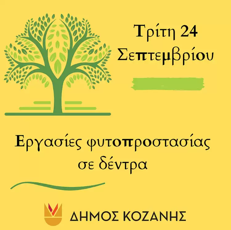 Δήμος Κοζάνης: Εργασίες φυτοπροστασίας σε δέντρα