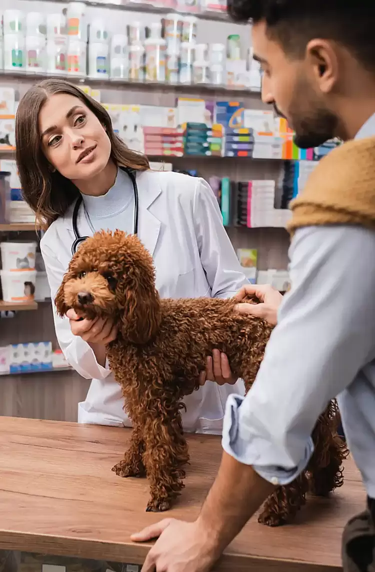 Εορδαία: Δωρεάν κτηνιατρικές υπηρεσίες σε ευαίσθητες και ευπαθείς κοινωνικές ομάδες