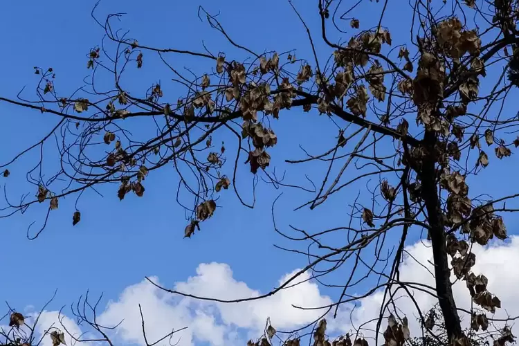 Ο καιρός έως τις αρχές Οκτωβρίου – Από σήμερα άνοδος της θερμοκρασίας