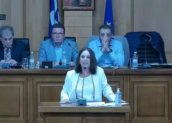 Καλλιόπη Βέττα: Η Δυτική Μακεδονία δεν πρέπει να γίνει πεδίο μονοκαλλιέργειας των Α.Π.Ε.