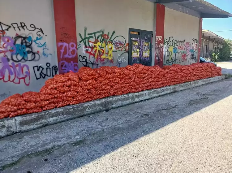 “Μαζί για την Κοζάνη”: Με μεγάλη επιτυχία η σημερινή δωρεάν διανομή πατάτας