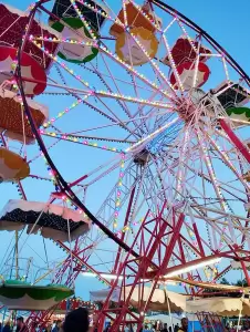 Ο “Νιάημερος” καλά κρατεί…