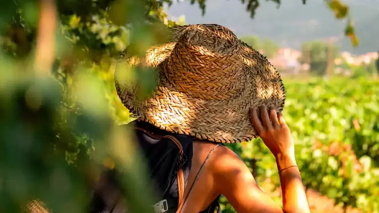 Σε  δημόσια διαβούλευση το νέο  Ειδικό Χωροταξικό Πλαίσιο για τον τουρισμό