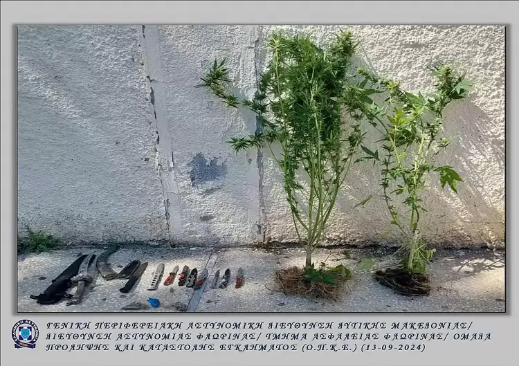 Συνελήφθησαν 3 άτομα για ναρκωτικά σε περιοχές της Φλώρινας και της Πτολεμαΐδας