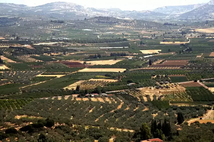 Αλλαγές στα εκτός σχεδίου: Καταργείται η δουλεία διόδου για δόμηση στα «τυφλά» οικόπεδα