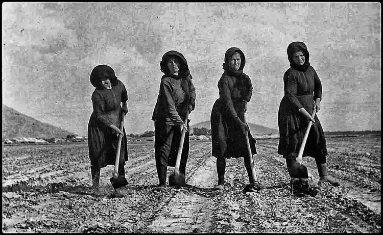 Η Διεθνής Ημέρα Αγρότισσας, καθιερώθηκε να γιορτάζεται από τη γενική συνέλευση του ΟΗΕ το 2007