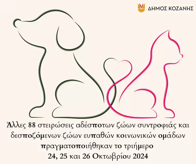 Δήμος Κοζάνης: Άλλες 88 στειρώσεις αδέσποτων ζώων συντροφιάς και δεσποζόμενων ζώων