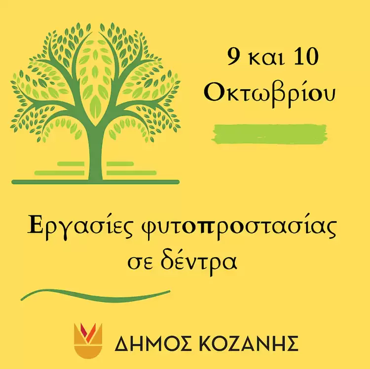 Δήμος Κοζάνης: Εργασίες φυτοπροστασίας σε δέντρα