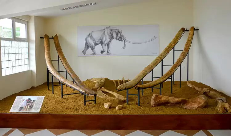 Φορείς Μηλιάς Γρεβενών προς κ. Ταταρίδη: «Σταματήστε το παραλήρημα και την ψευδολογία για το ζήτημα του μουσείου»