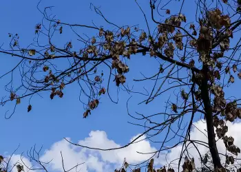 Ο καιρός σήμερα, Δευτέρα 21/10: Αίθριος με τοπικές νεφώσεις