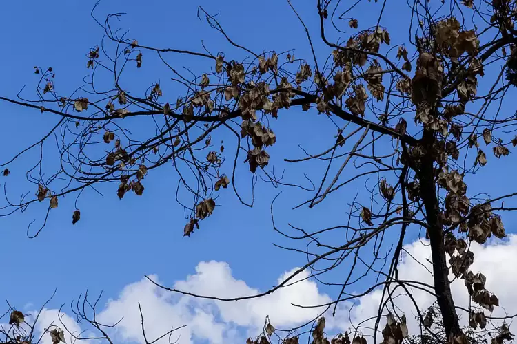 Ο καιρός σήμερα, Δευτέρα 21/10: Αίθριος με τοπικές νεφώσεις