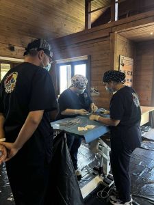 Ολοκλήρωση φιλοζωικής δράσης στείρωσης αδέσποτων ζώων συντροφιάς