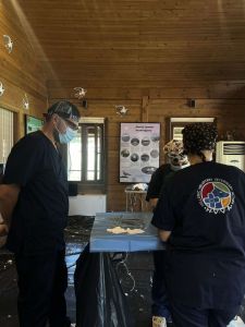 Ολοκλήρωση φιλοζωικής δράσης στείρωσης αδέσποτων ζώων συντροφιάς