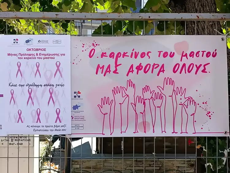 Συμβουλευτικό Κέντρο Δήμου Φλώρινας