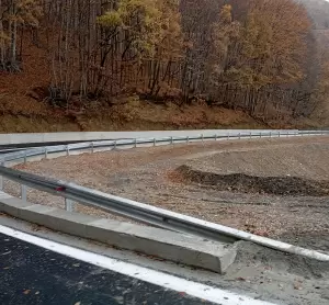 Χάρης Γκοβεδάρος: