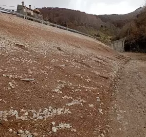 Χάρης Γκοβεδάρος: