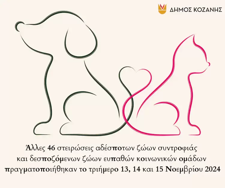 Δήμος Κοζάνης: Άλλες 46 στειρώσεις αδέσποτων ζώων συντροφιάς και δεσποζόμενων ζώων ευπαθών κοινωνικών ομάδων