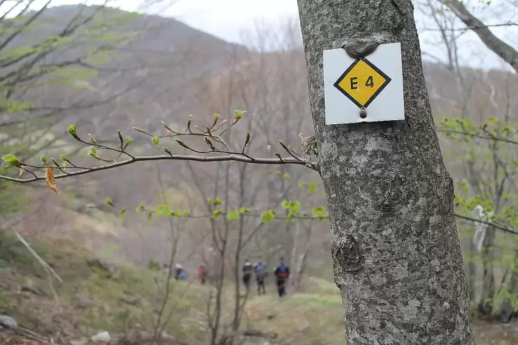 Ο Ε.Ο.Σ. Κοζάνης διοργανώνει την Κυριακή 10.11.2024 ορειβασία στα Πιέρια