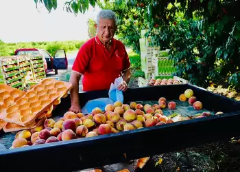 Έφυγε από τη ζωή ο Νέστορας Φυλαχτές από το Βελβεντό, στα 76 του χρόνια. Έφυγε από τη ζωή ο Νέστορας Φυλαχτές από το Βελβεντό, στα 76 του χρόνια.