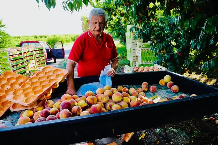 Έφυγε από τη ζωή ο Νέστορας Φυλαχτές από το Βελβεντό, στα 76 του χρόνια. Έφυγε από τη ζωή ο Νέστορας Φυλαχτές από το Βελβεντό, στα 76 του χρόνια.