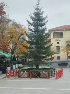 Έτοιμο το χριστουγεννιάτικο δέντρο στην Κοζάνη