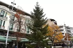 Έτοιμο το χριστουγεννιάτικο δέντρο στην Κοζάνη