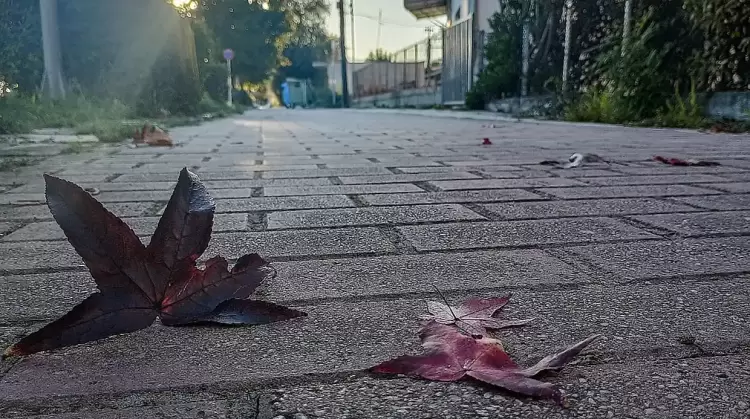 Ο καιρός για την Κοζάνη και την Δυτική Μακεδονία σήμερα 02/11/2024: Αίθριος με λίγες νεφώσεις