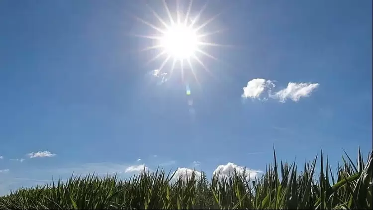 Ο καιρός για την Κοζάνη και την Δυτική Μακεδονία σήμερα 09/11/2024: Γενικά αίθριος με αραιές νεφώσεις κατά τόπους