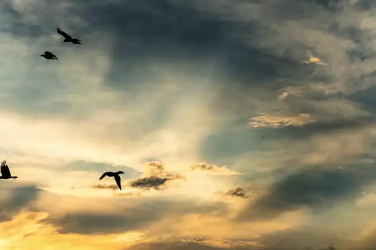 Ο καιρός για την Κοζάνη και την Δυτική Μακεδονία σήμερα 19/11/2024: Αίθριος με λίγες τοπικές νεφώσεις