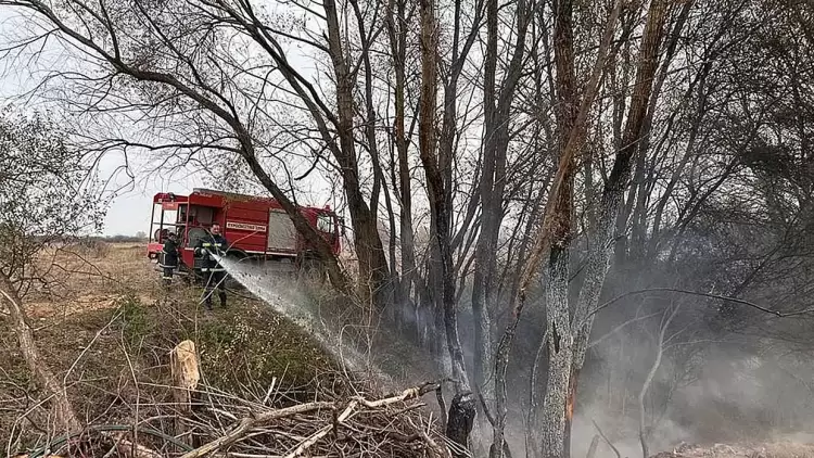 Κατάσβεση φωτιάς στην Κοινότητα Αμμοχωρίου Κατάσβεση φωτιάς στην Κοινότητα Αμμοχωρίου