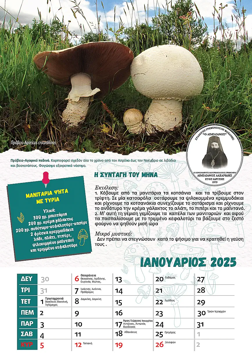 Συνταγές μαγειρικής με θέμα τα μανιτάρια το ημερολόγιο των Γρεβενιωτών Κοζάνης Συνταγές μαγειρικής με θέμα τα μανιτάρια το ημερολόγιο των Γρεβενιωτών Κοζάνης