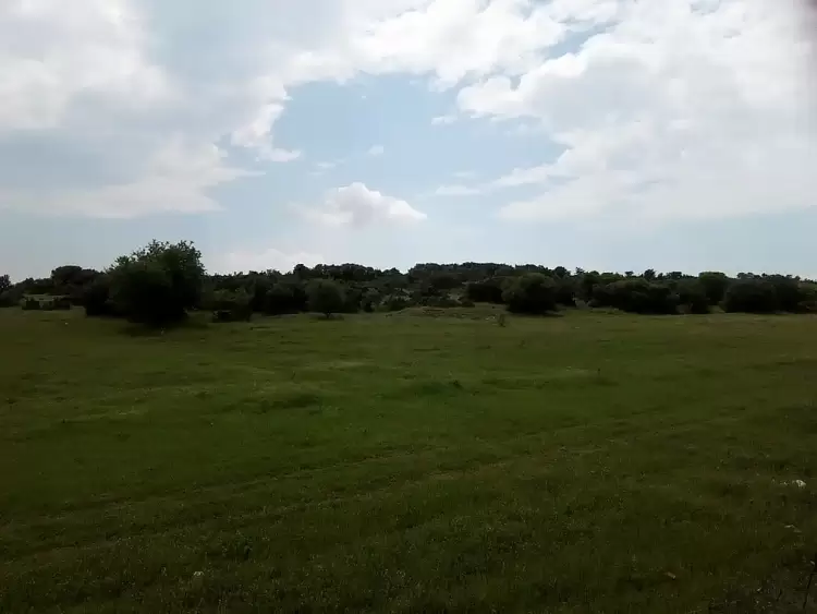 Αριστοτέλειο Πανεπιστήμιο Θεσσαλονίκης: Τι μας διδάσκουν τα μικρόβια εδάφους για την κλιματική αλλαγή Αριστοτέλειο Πανεπιστήμιο Θεσσαλονίκης: Τι μας διδάσκουν τα μικρόβια εδάφους για την κλιματική αλλαγή