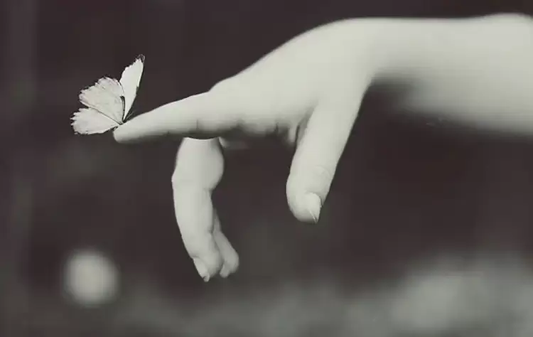 Χρηματικό ποσό στο ειδικό εργαστήρι Κοζάνης από τον Γιάννη Τσιμπλίδη στη μνήμη της συζύγου του Χρηματικό ποσό στο ειδικό εργαστήρι Κοζάνης από τον Γιάννη Τσιμπλίδη στη μνήμη της συζύγου του