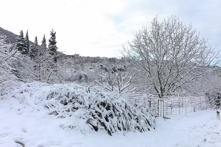 Χριστούγεννα όπως πρέπει να είναι