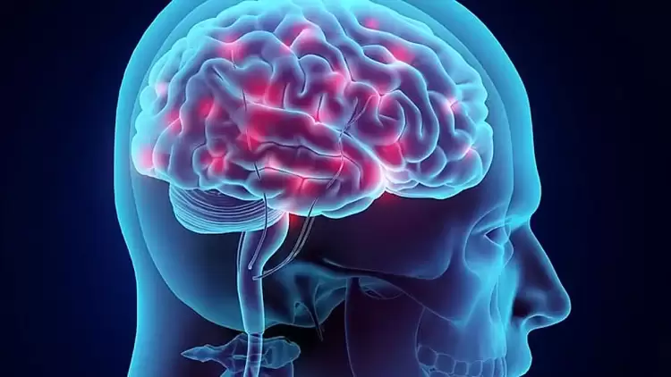 Ερευνητές εντόπισαν 13 πρωτεΐνες που συνδέονται με τη γήρανση του εγκεφάλου Ερευνητές εντόπισαν 13 πρωτεΐνες που συνδέονται με τη γήρανση του εγκεφάλου