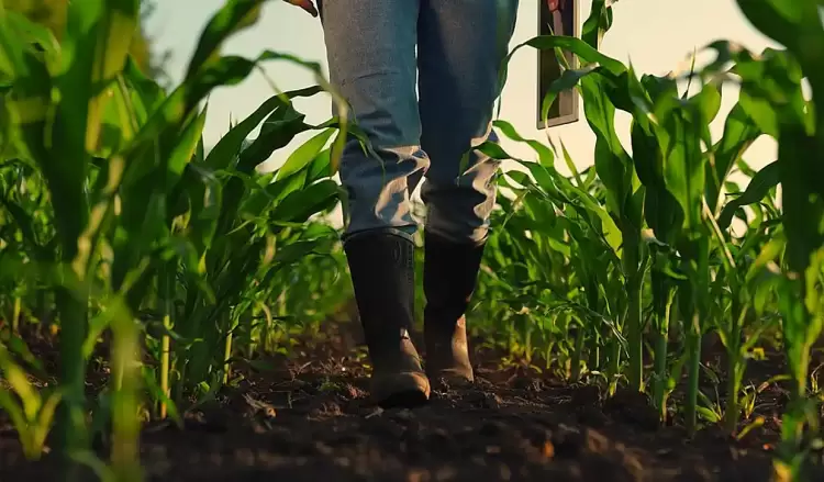 Η γεωργία στην καρδιά του μέλλοντος της ΕΕ