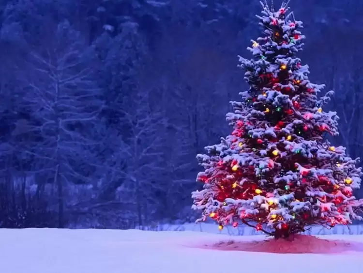 Καιρός: Χριστούγεννα με χιόνια, καταιγίδες και σαρωτικούς ανέμους – Σε εξέλιξη η επέλαση της κακοκαιρίας «Elena»