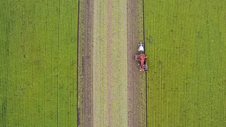 Στο 98% η απορρόφηση πόρων στο Πρόγραμμα Αγροτικής Ανάπτυξης – Στο 130% οι εντάξεις έργων