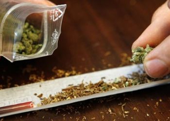 Συνελήφθησαν συνολικά 7 άτομα, σε περιοχές της Κοζάνης και Φλώρινας