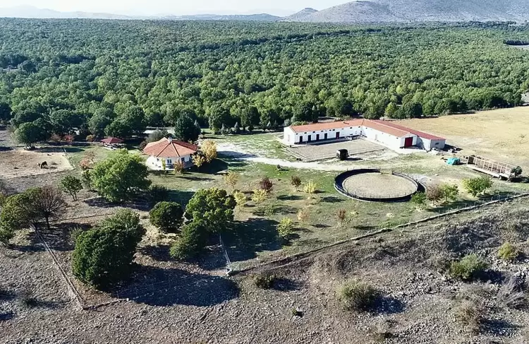 «Ενότητα»: Το δις εξαμαρτείν…