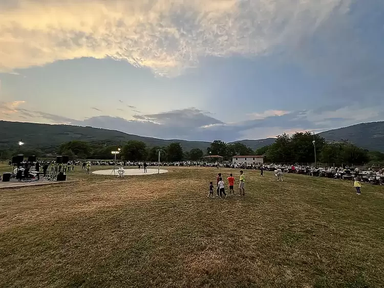 Απάντηση σε καταγγελία αναγνώστη από την τοπική Κοινότητα Ασβεστόπετρας για την αποψίλωση 17 πεύκων και για το πάρκο