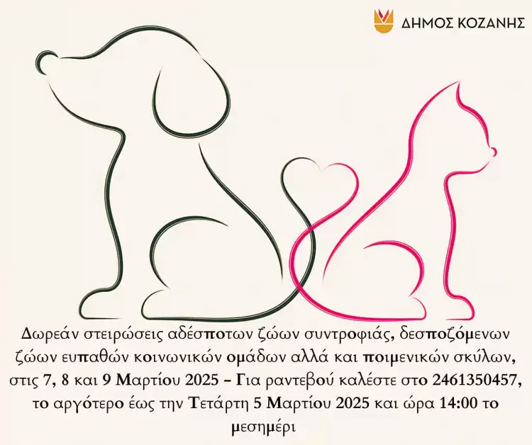 Δήμος Κοζάνης: Δωρεάν στειρώσεις αδέσποτων ζώων συντροφιάς