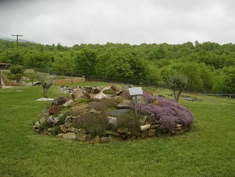 Η Ελλάδα ισχυρή δύναμη στην παγκόσμια αγορά αρωματικών και φαρμακευτικών φυτών Η Ελλάδα ισχυρή δύναμη στην παγκόσμια αγορά αρωματικών και φαρμακευτικών φυτών