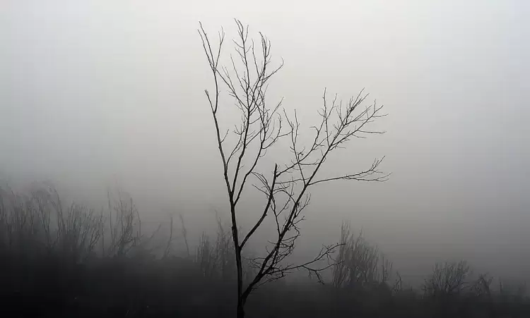 Ο καιρός για την Κοζάνη και την Δυτική Μακεδονία σήμερα 21/01/2025: Nεφώσεις με τοπικές βροχές