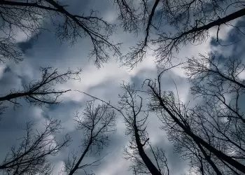 Ο καιρός για την Κοζάνη και την Δυτική Μακεδονία σήμερα 20/01/2025: Αραιές νεφώσεις με πιθανές τοπικές βροχές