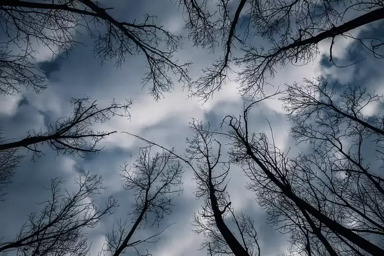 Ο καιρός για την Κοζάνη και την Δυτική Μακεδονία σήμερα 20/01/2025: Αραιές νεφώσεις με πιθανές τοπικές βροχές