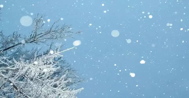 Ο καιρός για την Κοζάνη και την Δυτική Μακεδονία σήμερα 12/01/2025: Συννεφιά με τοπικές βροχές και καταιγίδες Ο καιρός για την Κοζάνη και την Δυτική Μακεδονία σήμερα 12/01/2025: Συννεφιά με τοπικές βροχές και καταιγίδες