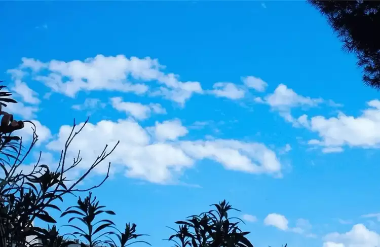 Ο καιρός για την Κοζάνη και την Δυτική Μακεδονία σήμερα 25/01/2025: Αίθριος με λίγες τοπικές νεφώσεις